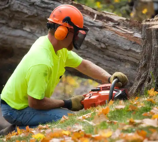 tree services White Sands